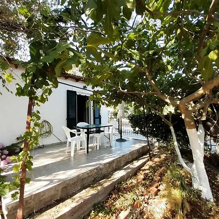 Apartment Quiet Agricultural Komilion
