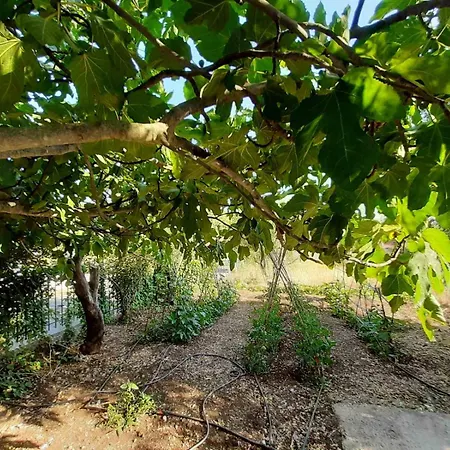 Quiet Agricultural *