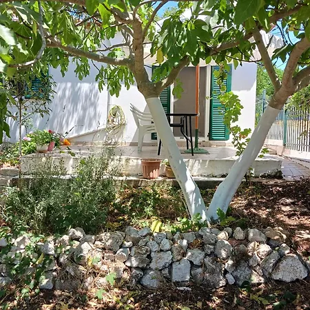 Quiet Agricultural Apartment Komilion